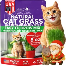 NatureZ Edge Premium Cat Grass Seeds for 1/2 Pound, Oat and Barley Green 