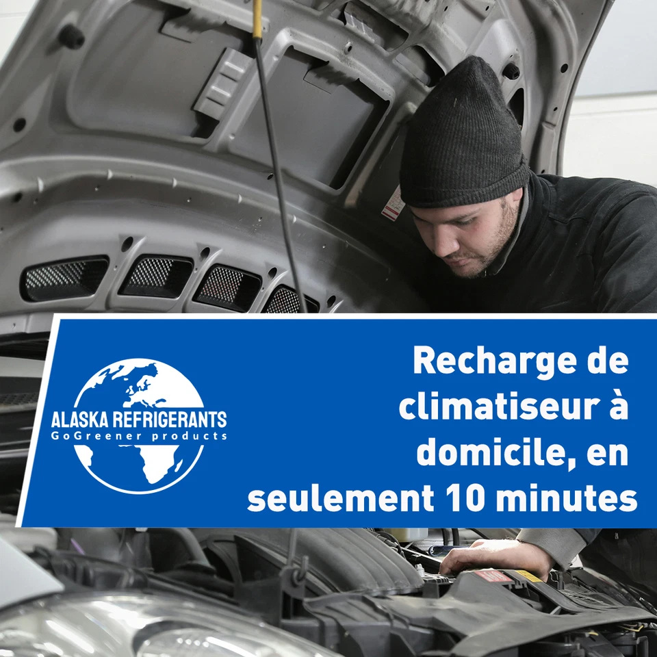 Kit Double – 3en1 Alaska Refrigerants de remplacement R134a avec huile (PAG 100) - Immagine 2 di 4