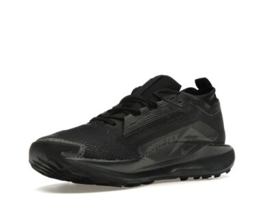 Nike Pegasus Trail 5 GORE-TEX Black Anthracite FQ0908-002  display picture 3