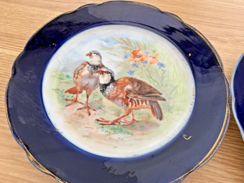 Pair of Vintage Exotic Game Birds Plates, Cobalt Rim, Temple & Crook, Belgravia - Picture 3 of 4