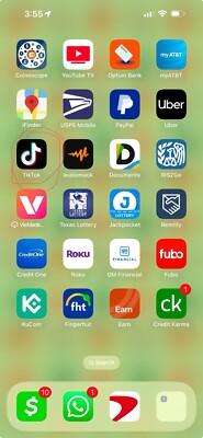 Iphone 14 Promax 256 Gb With Tiktok App On It Working Properly In Excellent Cond