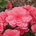Foto 2 di 5