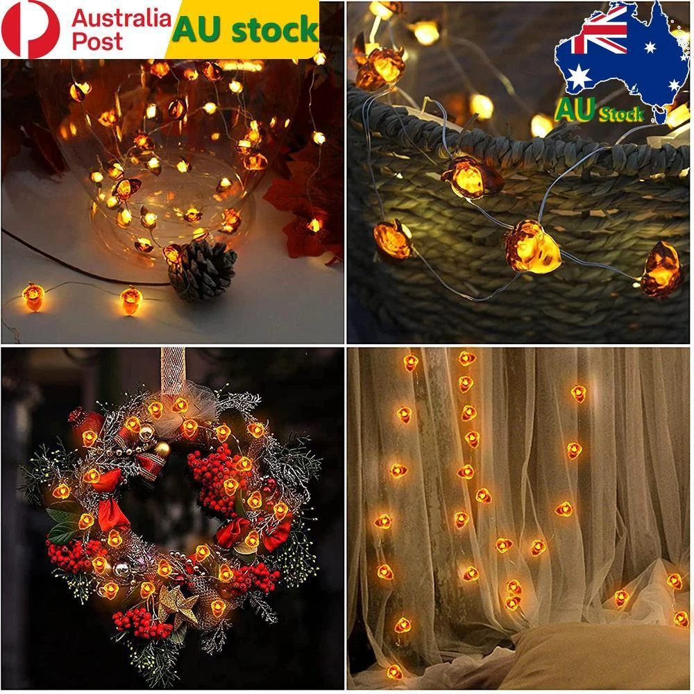 Acorn String Lights Battery Powered Acorn Icons Fairy Lights Xmas