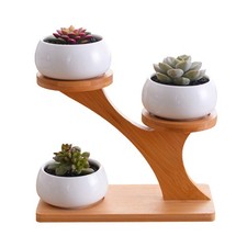 1 ensemble de pot de fleurs en céramique minimaliste moderne pot de plantes