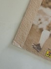 Foto 2 di 13