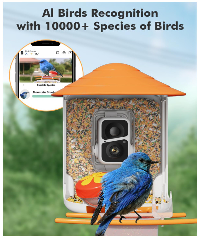 Smart Bird Feeder with Camera Solar Powered, Bird Watching, AI Identify Bird Spe
