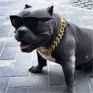 cuban dog collar