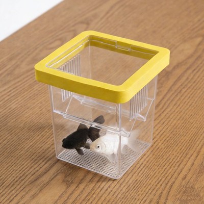  Floating Fish Isolation Box Hatchery Container for Aquarium Breeding