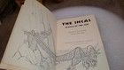 Picture 5 of 11