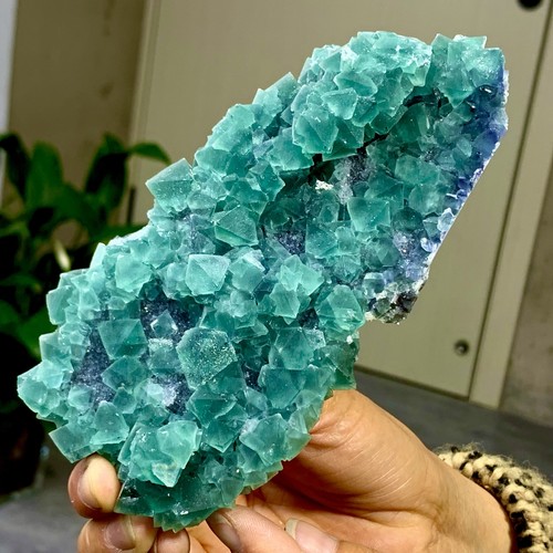 467G Raro Transparente Azul-Verde Cubo Fluorita Mineral Cristal Espécimen/China - Imagen 19 de 23