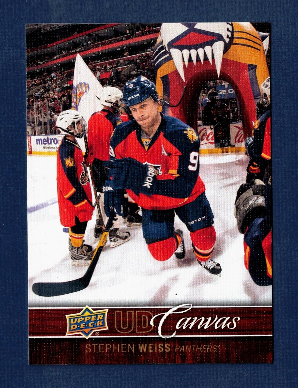 2012-13 UD Upper Deck Canvas Stephen Weiss #C36 Florida Panther MINT