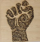 Bild 7 von 11