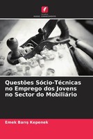 QuestõEs SóCio-TéCnicas No Emprego Dos Jovens No Sector Do MobiliáRio Kepenek