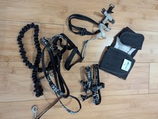 Cat Harness and Leash Set Escape Proof, Adjustable Kitten Harness
