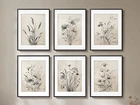 SET OF 6 11X14" BOHO VINTAGE BOTANICAL B&W FLORAL CANVAS FRAMED PAINTING PRINTS