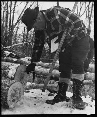 The scaler wanders about the logging site and computes the board-f- Old Photo