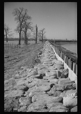 Photo:Tiptonville Tennessee 1937 Bessie Levee Sandbag Flood Defense