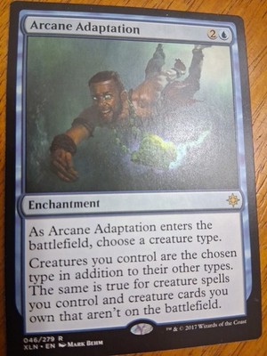 Arcane Adaptation Ixalan Regular