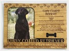 Curly Coated Retriever Dog Profile Laser Engraved Wood Picture Frame Magnet