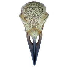 Alchemy Gothic Omega Raven Crow Skull Symbols 6.5" Long Resin Statue Decor V67
