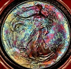 Toned 1993 American Silver Eagle 1oz .999 Silver Brilliant Uncirculated