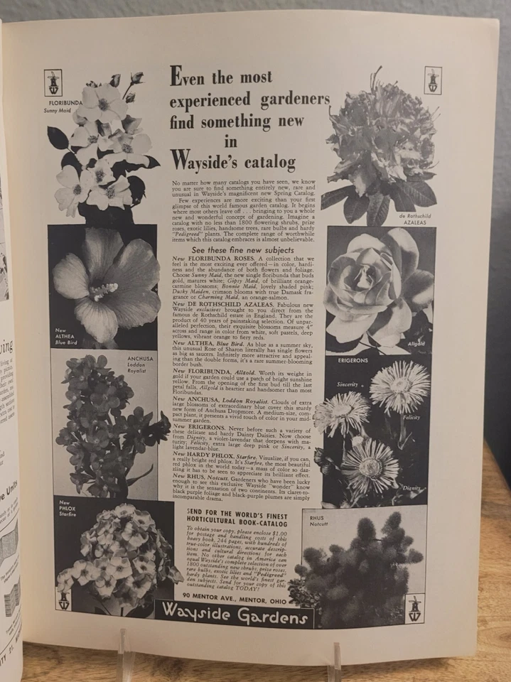 Landscape Architecture Vol XLIX Winter 1958-1959 No. 2 - Image 3 of 4