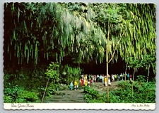THE FERN GROTTO WAILUA RIVER BOAT TOUR KAUAI HAWAII VTG 1970s 4X6 POSTCARD D-1 