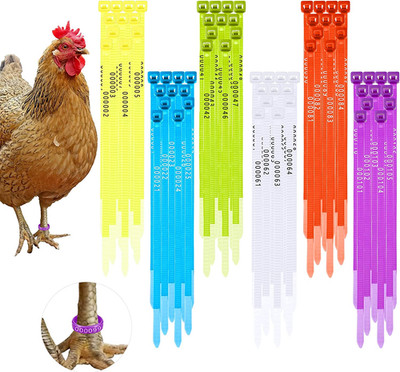 120 Pcs Chicken Leg Bands Colorful Turkey Duck Poultry Identification Leg Bands