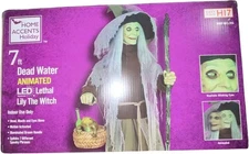 Home Accents Holiday 23SV23794 Dead Water Animated Lethal Lily the Witch W/ LED