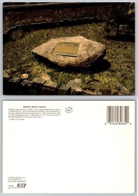 Smokey Bear's Grave Postcard Capitan Mountains Fire Prevention Memorial