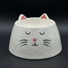 Whisker City Elevated Ceramic White Textured Cat Bowl 3.5 X 3.25 Inches