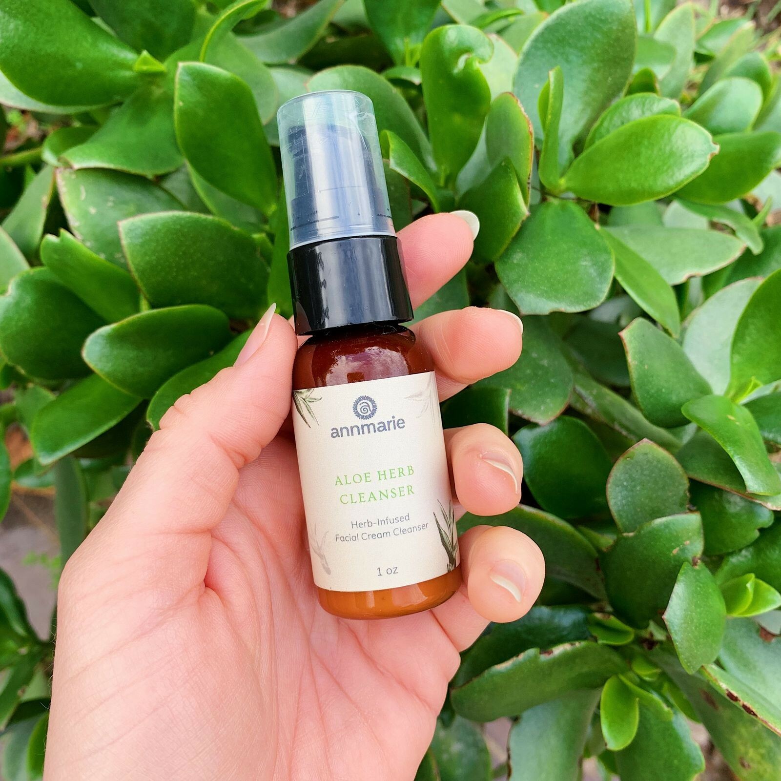 annmarie aloe herb cleanser