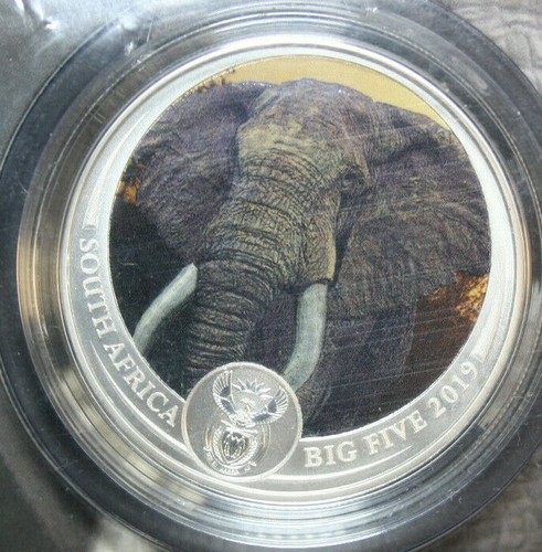 Süd Afrika 5 Rand 2019 Silber 1 oz Elephant-The Big Five F5855 Colored Mint Pack - Bild 3 von 5