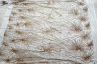 Bild 9 von 9