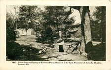 Postcard Emerson Place Grant Oak & Spring, Ironton, Missouri