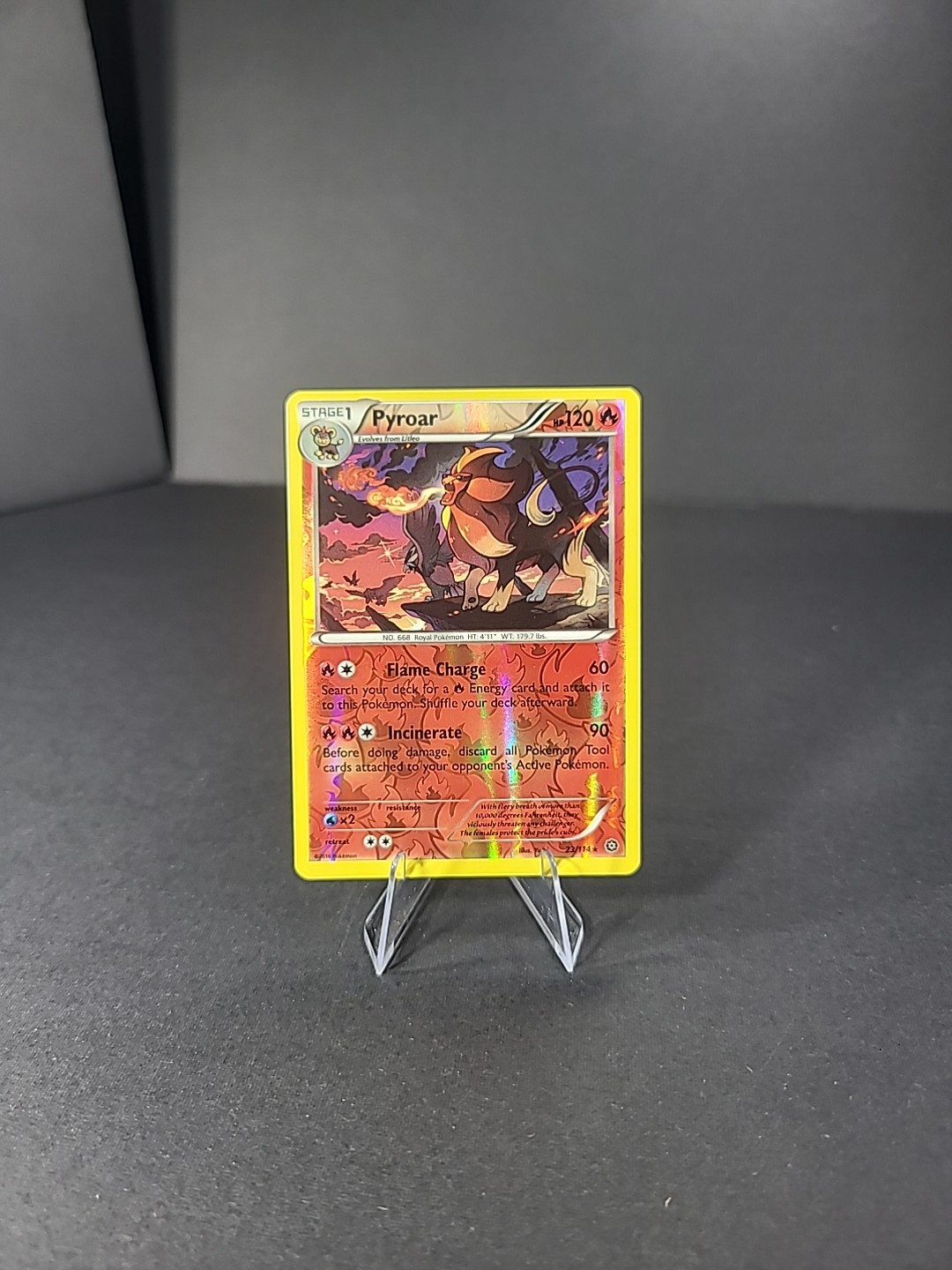Pyroar 23/114 XY Steam Siege Reverse Holo Rare 2016 Pokemon TCG NM