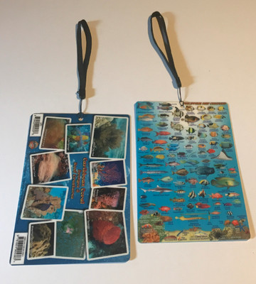 Wrist Lanyard for Franko Fish Cards 