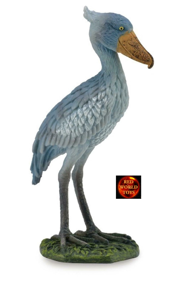 その他 shoebill Shoebill bird of central tropical Africa