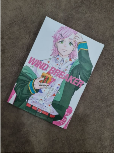 Windbreaker Manga NEU von Satoru Nii Vol 1-15 englische Version Comic - DHL Express - Bild 8 von 16