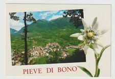 VAL GIUDICARIE CRETO PIEVE DI BONO TRENTO CARTOLINA FG N - FOTO GHEDINA