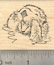 Playful Sea Otter Rubber Stamp, In Water, Talking G21016 WM