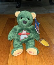 Maine Coin Cuddlers Teddy