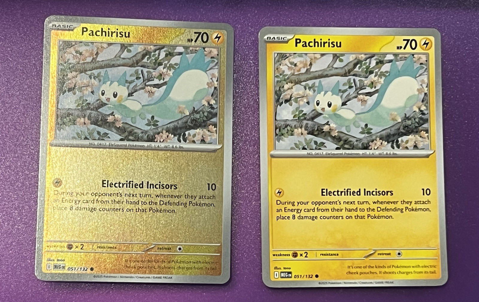 Pokemon Pachirisu Mega Evolution 051/132 Reverse Holo + Regular