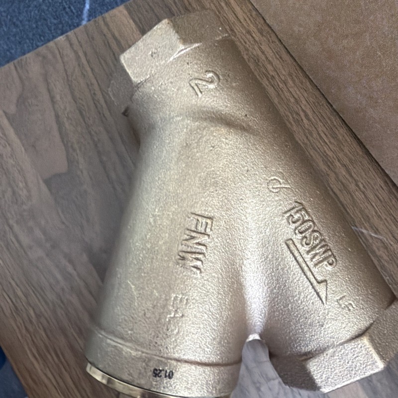 2 Inch Wye Strainer 