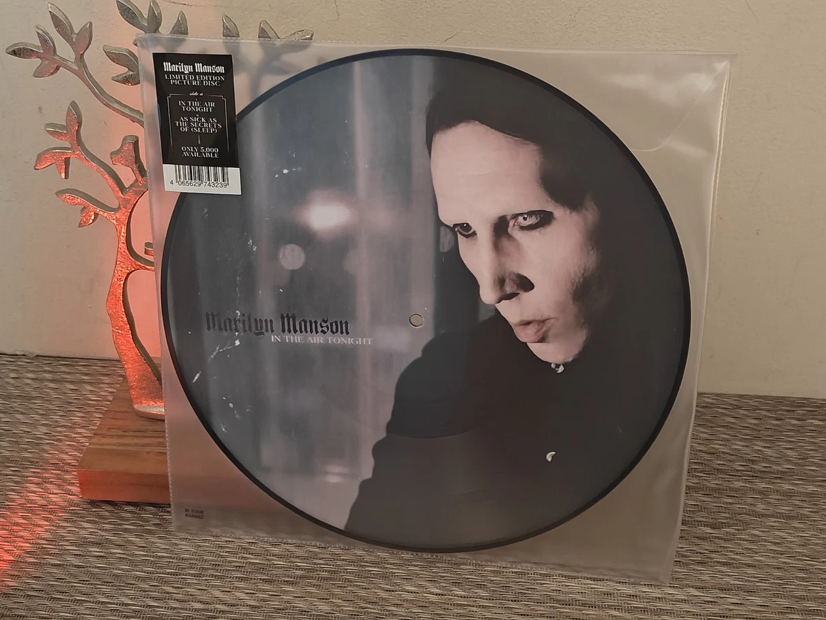 Marilyn Manson Single Vinyl Records for sale | eBay
