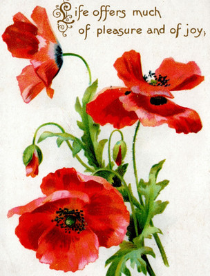 Life Offers Much Pleasure & Joy Raphael Tuck & Sons Birthday Greetings Postcard