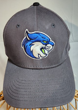 New Era 39Thirty Cap