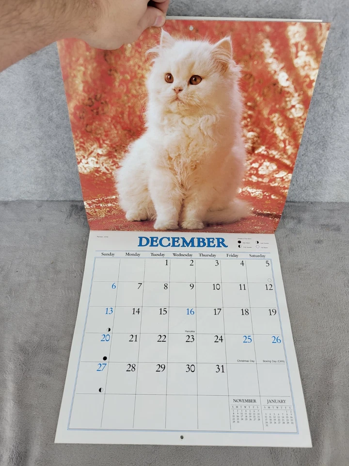 Calendario de mesa vintage de 16 meses para gatos de septiembre de 1987 a diciembre de 1988 regalo coleccionable Foto 3 de 4