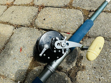 RELIANCE 6552AR Fishing Rod With PENN Delmar ...