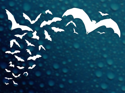 Bats Decal, Flying Foxes Colony, Vinyl Sticker for Cars, Laptops, Halloween Fun - 第 8/39 張圖片